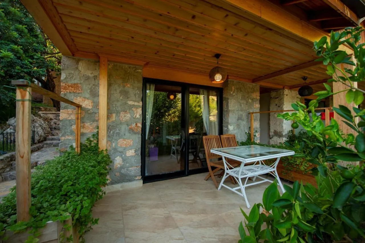 S3 Seahorse Beach Club Oludeniz Hotel