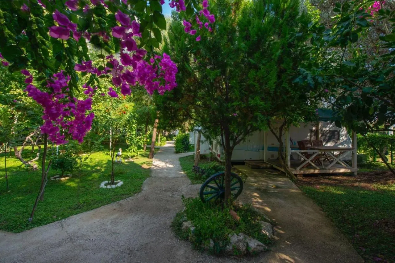 S3 Seahorse Beach Club Ölüdeniz Hotel